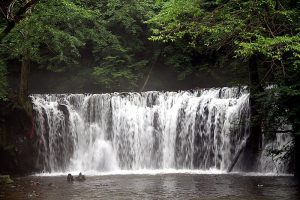800px-longwanqun_national_forest_park_diaoshuihu_waterfall_2011_07_25-1