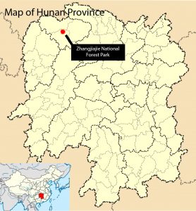 Figure 1: Location of ZNFP within the Hunan Province